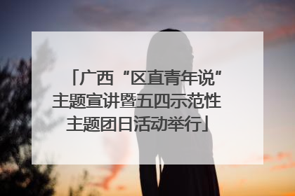 广西“区直青年说”主题宣讲暨五四示范性主题团日活动举行