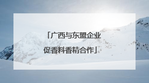 广西与东盟企业促香料香精合作