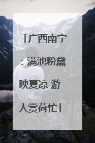 广西南宁：满池粉黛映夏凉 游人赏荷忙