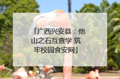 广西兴安县：他山之石互查学 筑牢校园食安网