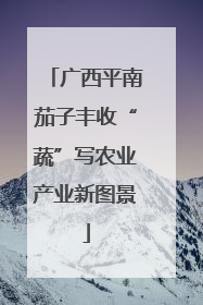 广西平南茄子丰收“蔬”写农业产业新图景