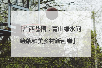 广西苍梧：青山绿水间绘就和美乡村新画卷