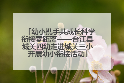 幼小携手共成长科学衔接零距离——台江县城关四幼走进城关三小开展幼小衔接活动