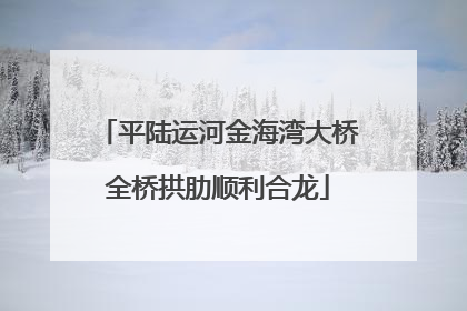 平陆运河金海湾大桥全桥拱肋顺利合龙