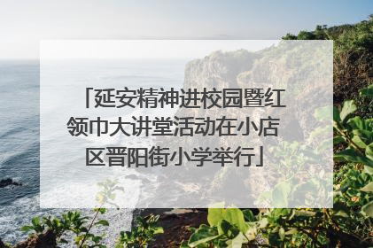 延安精神进校园暨红领巾大讲堂活动在小店区晋阳街小学举行