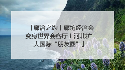 廊洽之约丨廊坊经洽会变身世界会客厅！河北扩大国际“朋友圈”