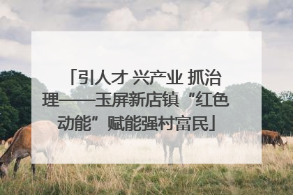 引人才 兴产业 抓治理——玉屏新店镇“红色动能”赋能强村富民