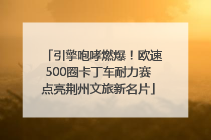 引擎咆哮燃爆！欧速500圈卡丁车耐力赛点亮荆州文旅新名片