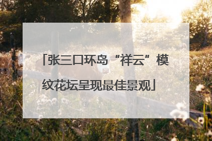 张三口环岛“祥云”模纹花坛呈现最佳景观