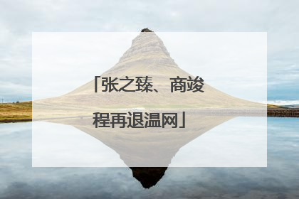 张之臻、商竣程再退温网