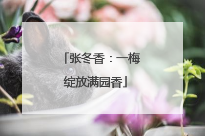 张冬香：一梅绽放满园香