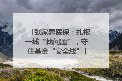 张家界医保：扎根一线“找问题”，守住基金“安全线”