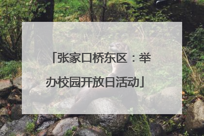 张家口桥东区：举办校园开放日活动