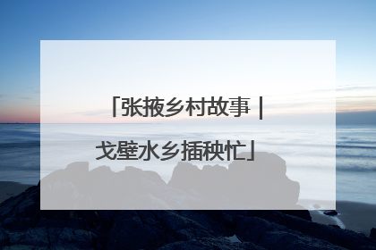 张掖乡村故事｜戈壁水乡插秧忙