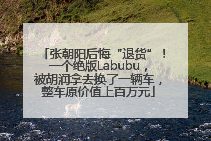 张朝阳后悔“退货”！一个绝版Labubu，被胡润拿去换了一辆车，整车原价值上百万元