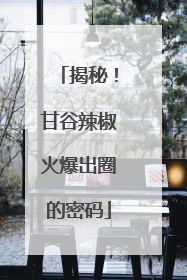 揭秘！甘谷辣椒火爆出圈的密码