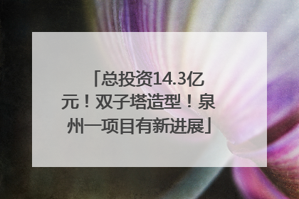 总投资14.3亿元！双子塔造型！泉州一项目有新进展