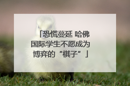 恐慌蔓延 哈佛国际学生不愿成为博弈的“棋子”