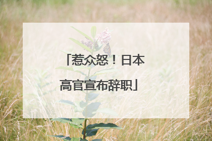 惹众怒！日本高官宣布辞职