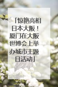 惊艳亮相日本大阪！厦门在大阪世博会上举办城市主题日活动