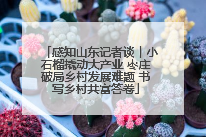感知山东记者谈丨小石榴撬动大产业 枣庄破局乡村发展难题 书写乡村共富答卷
