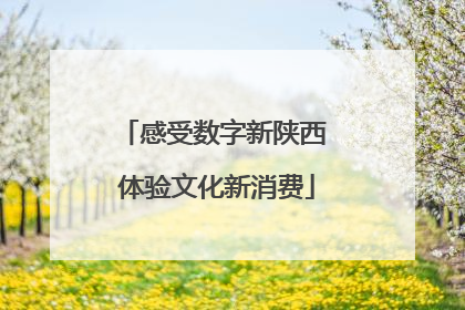 感受数字新陕西 体验文化新消费