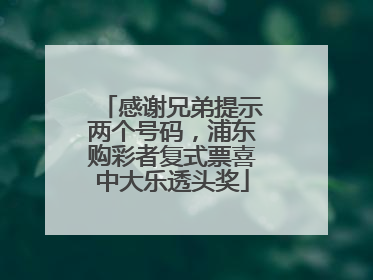 感谢兄弟提示两个号码，浦东购彩者复式票喜中大乐透头奖