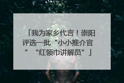 我为家乡代言！崇阳评选一批“小小推介官”“红领巾讲解员”