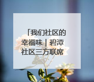 我们社区的幸福味｜碧潭社区三方联席会议共建紫岫幸福家