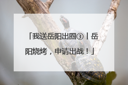 我送岳阳出圈③丨岳阳烧烤，申请出战！