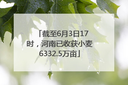 截至6月3日17时，河南已收获小麦6332.5万亩