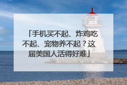 手机买不起、炸鸡吃不起、宠物养不起？这届美国人活得好难