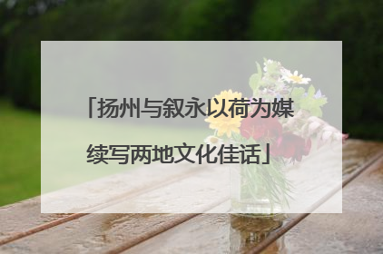 扬州与叙永以荷为媒续写两地文化佳话