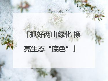 抓好两山绿化 擦亮生态“底色”