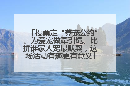 投票定“养宠公约”、为爱宠做牵引绳、比拼谁家人宠最默契，这场活动有趣更有意义