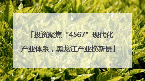 投资聚焦“4567”现代化产业体系，黑龙江产业换新景
