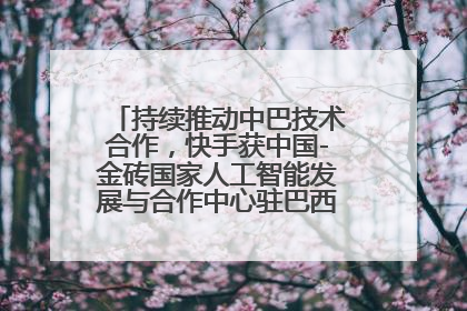 持续推动中巴技术合作，快手获中国-金砖国家人工智能发展与合作中心驻巴西成果转化中心授牌