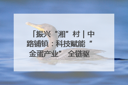 振兴“湘”村｜中路铺镇：科技赋能“金蛋产业” 全链驱动乡村振兴