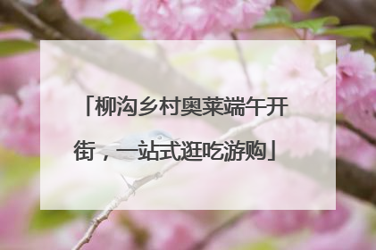 柳沟乡村奥莱端午开街，一站式逛吃游购