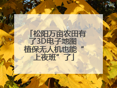 松阳万亩农田有了3D电子地图 植保无人机也能“上夜班”了