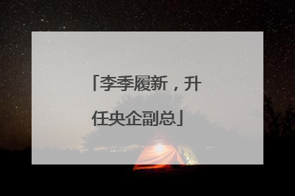 李季履新，升任央企副总