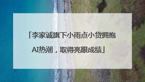 李家诚旗下小雨点小贷拥抱AI热潮，取得亮眼成绩