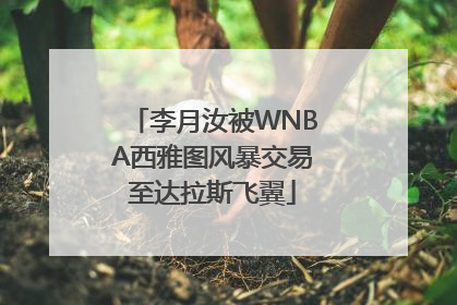 李月汝被WNBA西雅图风暴交易至达拉斯飞翼