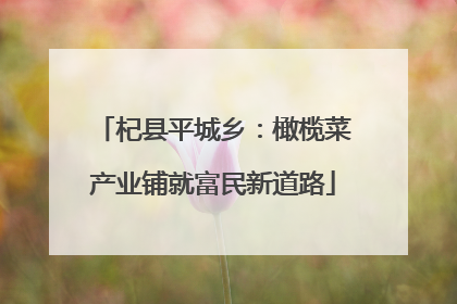 杞县平城乡：橄榄菜产业铺就富民新道路
