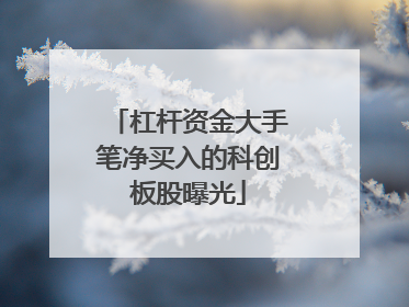杠杆资金大手笔净买入的科创板股曝光