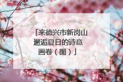 来德兴市新岗山 邂逅夏日的诗意画卷（图）
