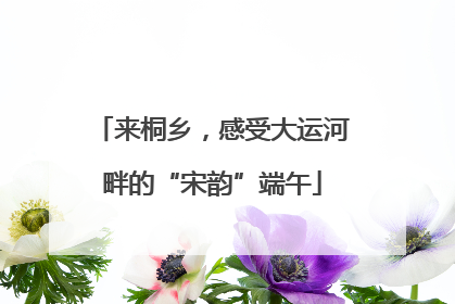 来桐乡，感受大运河畔的“宋韵”端午