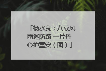 杨水良：八载风雨巡防路 一片丹心护童安（图）