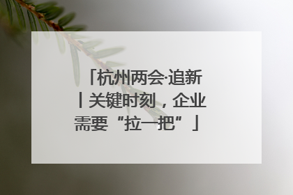 杭州两会·追新丨关键时刻，企业需要“拉一把”