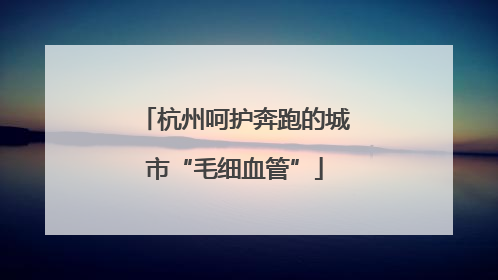 杭州呵护奔跑的城市“毛细血管”